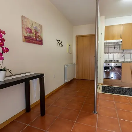 Apartment Casa Da Levada Termas de Sao Pedro do Sul